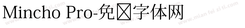 Mincho Pro字体转换